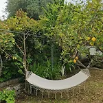 Lemon Tree Garden Near Mirtos Vila *