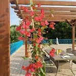 Lemon Tree Garden Near Mirtos *