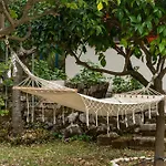 Lemon Tree Garden Near Mirtos *