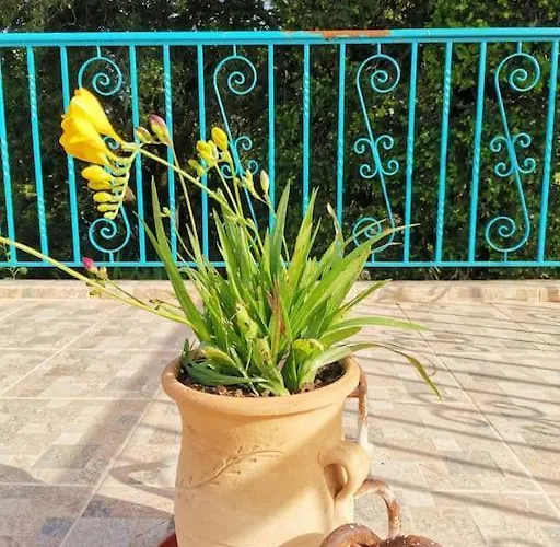 Lemon Tree Garden Near Mirtos Divarata