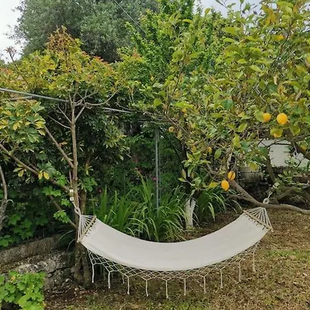 Lemon Tree Garden Near Mirtos 别墅 *