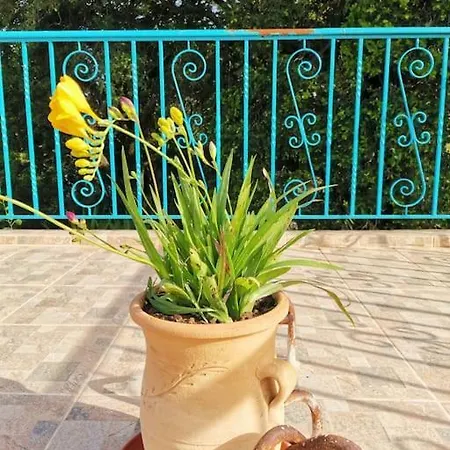 Lemon Tree Garden Near Mirtos Divarata