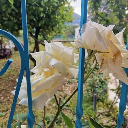 Lemon Tree Garden Near Mirtos Vila *