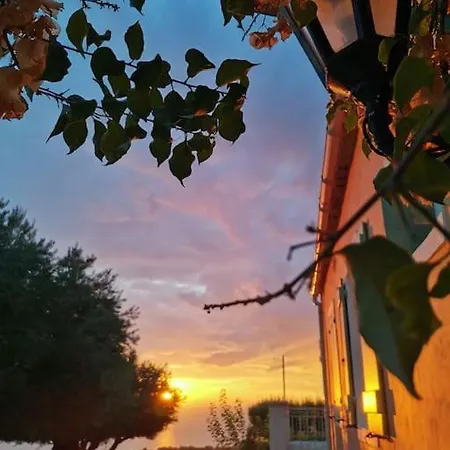Lemon Tree Garden Near Mirtos Divarata