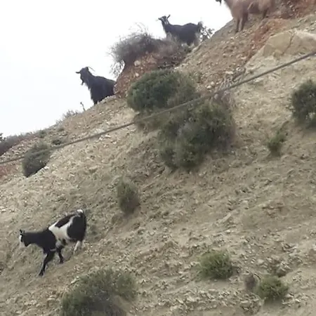 Вилла Lemon Tree Garden Near Mirtos *