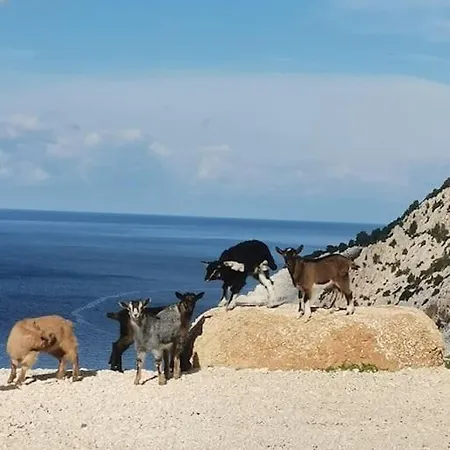 Lemon Tree Garden Near Mirtos Divarata