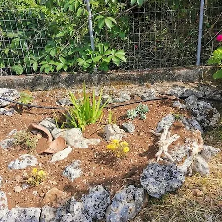 Lemon Tree Garden Near Mirtos