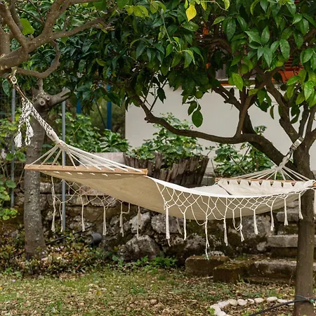 Lemon Tree Garden Near Mirtos *