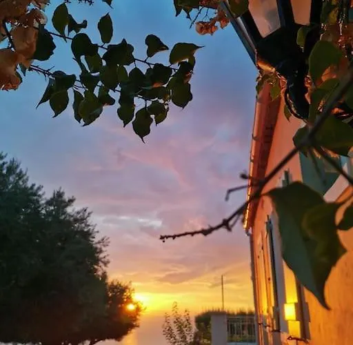Lemon Tree Garden Near Mirtos Divarata