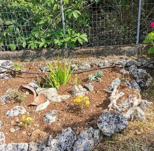 Lemon Tree Garden Near Mirtos