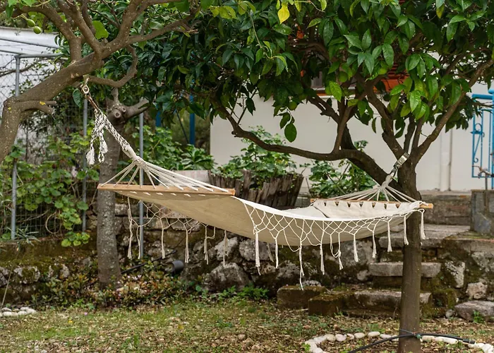 Lemon Tree Garden Near Mirtos *